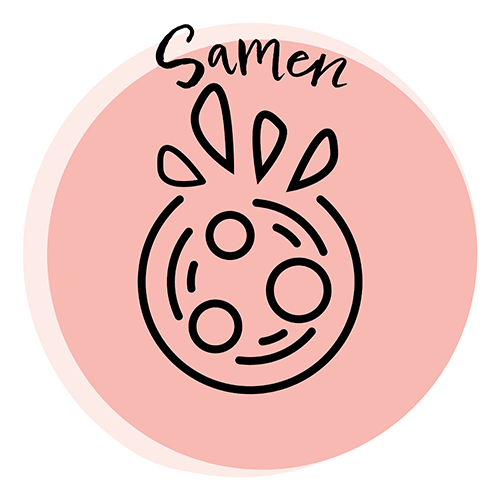 Samen